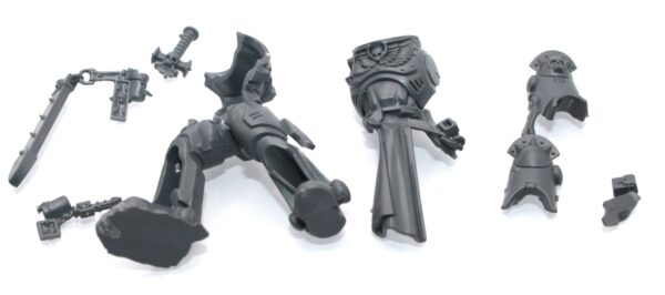 Space Marine Bladeguard Veterans Body B