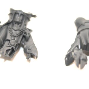 Thousand Sons Tzaangors Body E