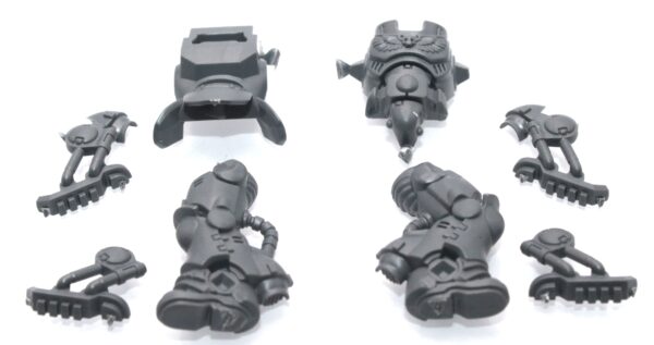 Primaris Inceptors Body B