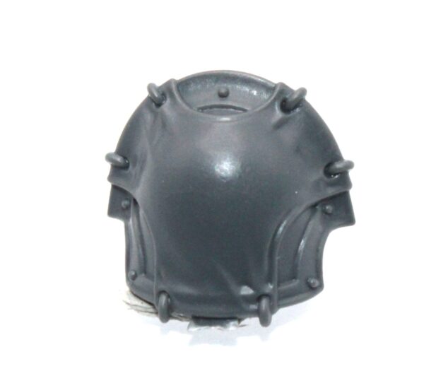 Tormentors/Infractors Shoulder Pad F