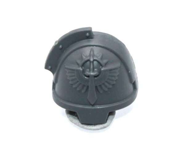 Inner Circle Companions Shoulder Pad C