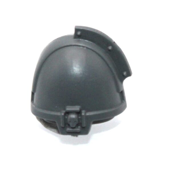 Inner Circle Companions Shoulder Pad E