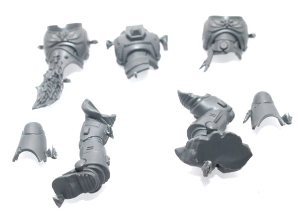 Space Wolf Blood Claws Pack Leader Body