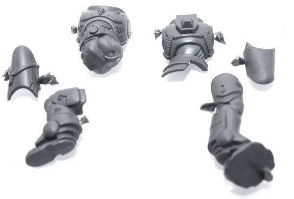 Space Wolf Blood Claws Body C