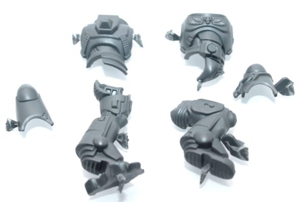 Space Wolf Blood Claws Body D