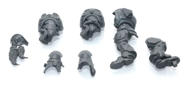 Grey Hunters Pack Leader