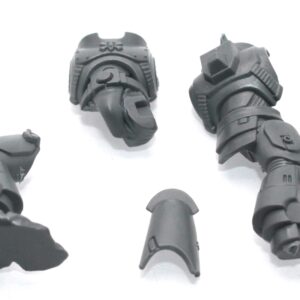 Grey Hunters Body C