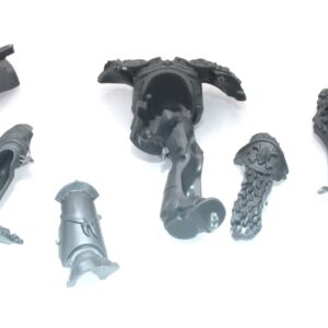 Wolf Guard Headtakers Body A