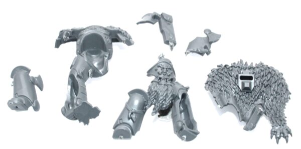 Wolf Guard Headtakers Body B