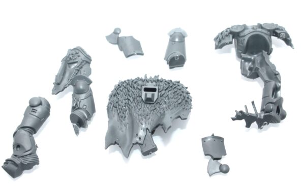 Wolf Guard Headtakers Body C