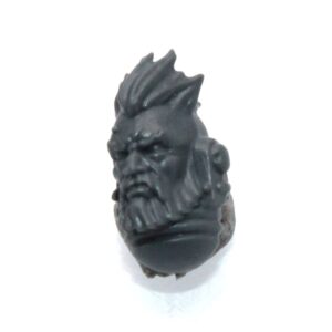 Wolf Guard Headtakers Head F