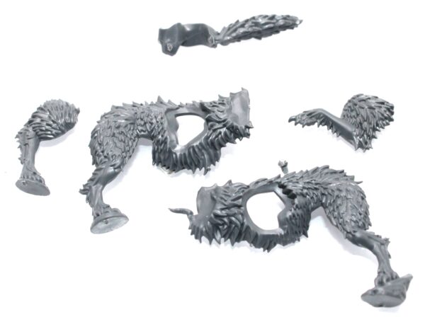 Wolf Guard Headtakers Fenris Wolf  Body C
