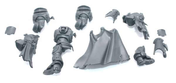 Sword Brethern Castellan Body
