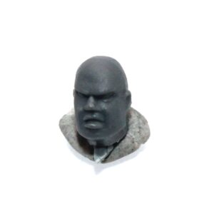 Bretonnian Command Head B