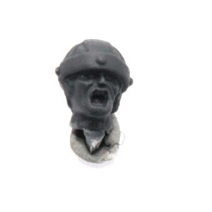 Bretonnian Command Head F