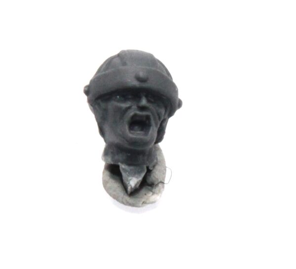 Bretonnian Command Head F