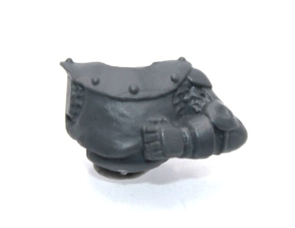 Knight of the Realm Body with Leather Studded Collar