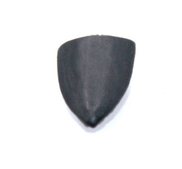 Knight of the Realm Small Blank Shield