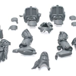Wolf Guard Terminators Body A