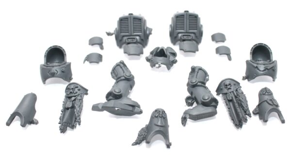 Wolf Guard Terminators Body A