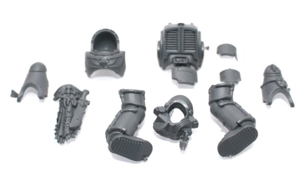 Wolf Guard Terminators Body B