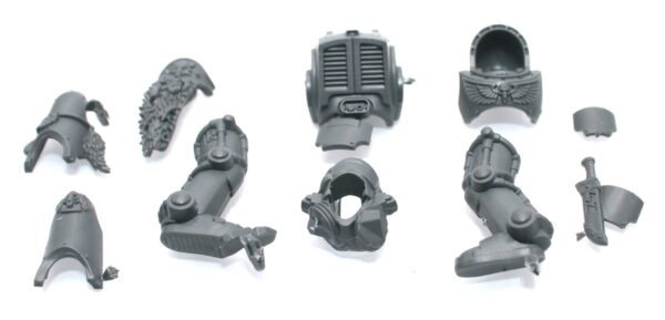 Wolf Guard Terminators Body C