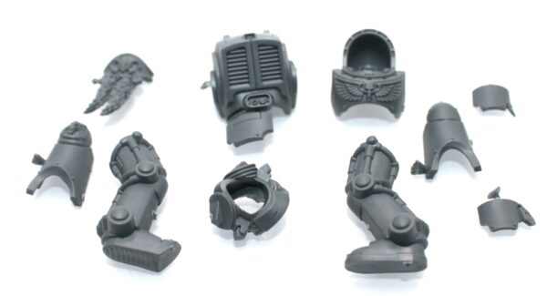 Wolf Guard Terminators Body D