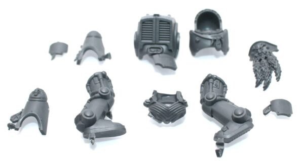 Wolf Guard Terminators Body E