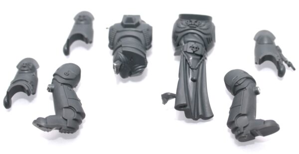 Primaris Sternguard Veterans Body A