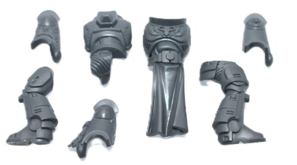 Primaris Sternguard Veterans Body D