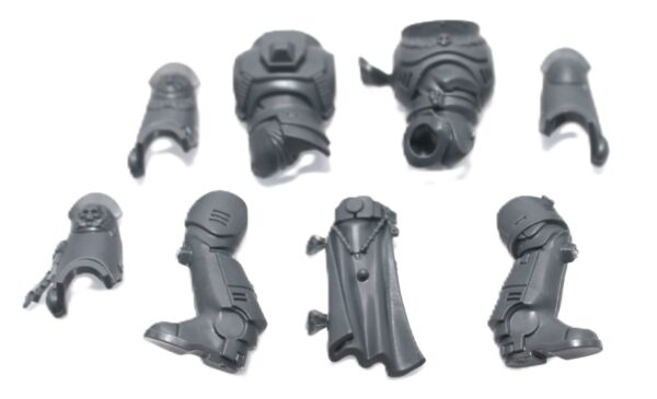 Primaris Sternguard Veterans Body E