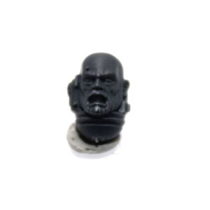Primaris Sternguard Veterans Bare Heads C