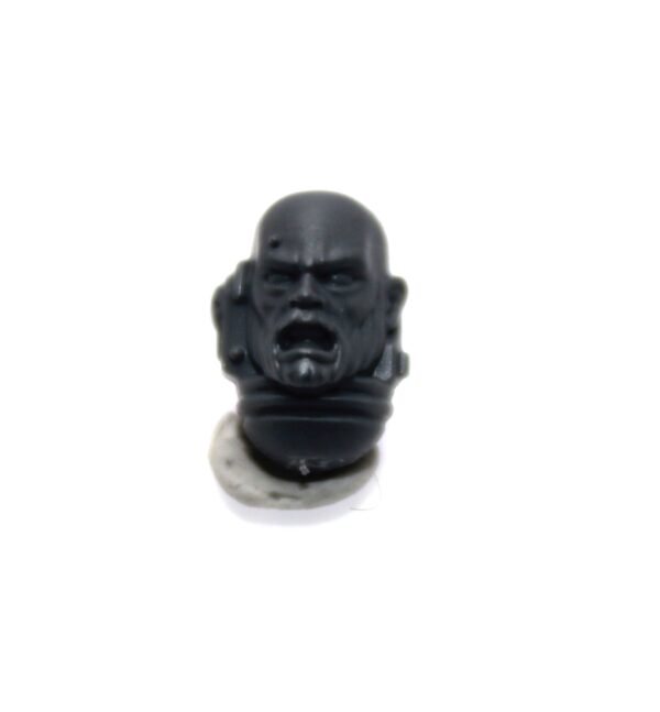 Primaris Sternguard Veterans Bare Heads C