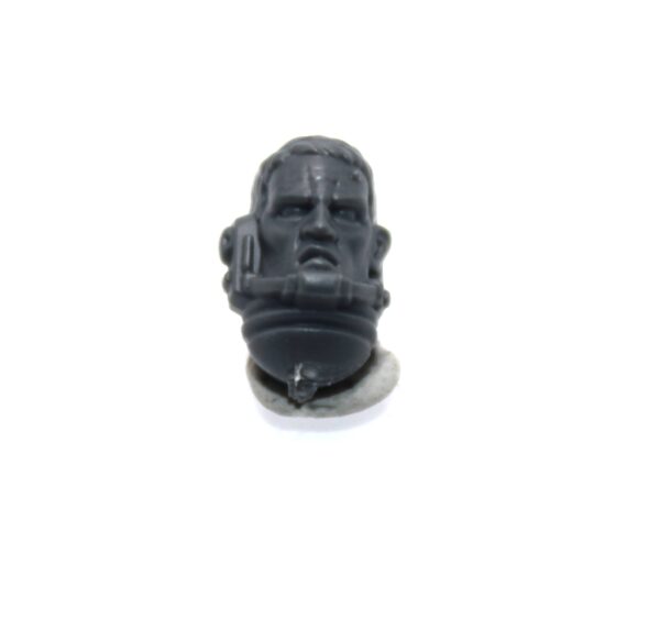 Primaris Sternguard Veterans Bare Heads D