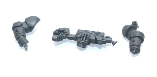 Primaris Sternguard Veterans Bolt Rifle F