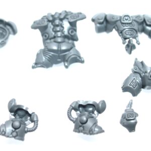 Einhyr Hearthguard Body B