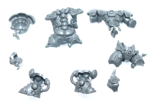 Einhyr Hearthguard Body B