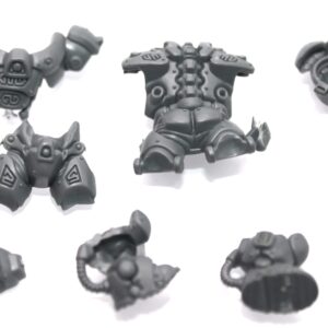Einhyr Hearthguard Body C
