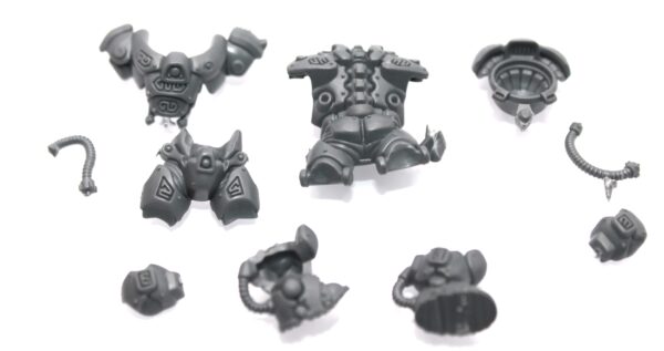 Einhyr Hearthguard Body C