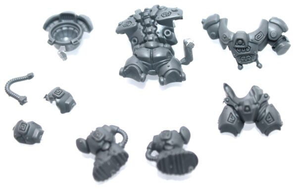 Einhyr Hearthguard Body E