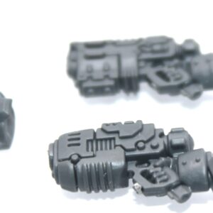 Einhyr Hearthguard C Disintegrator