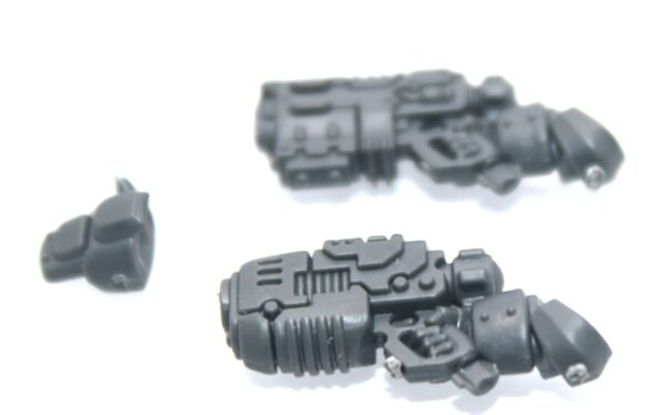 Einhyr Hearthguard C Disintegrator