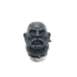 Einhyr Hearthguard Head A