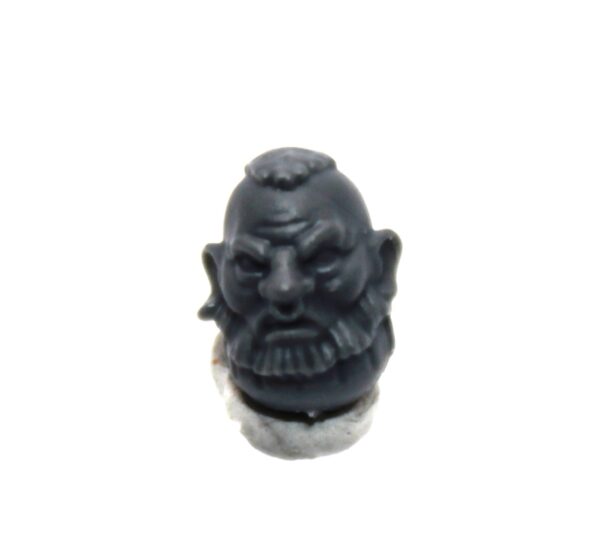 Einhyr Hearthguard Head B