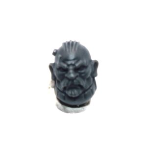 Einhyr Hearthguard Head C
