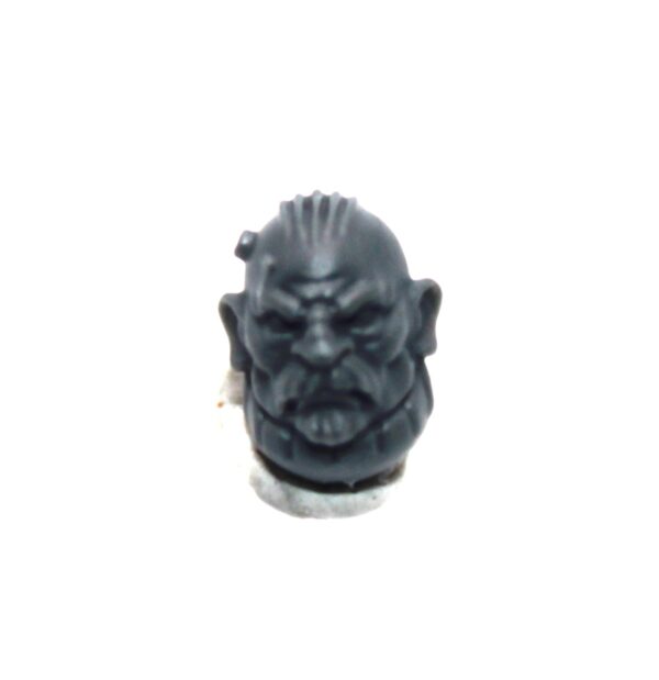 Einhyr Hearthguard Head C