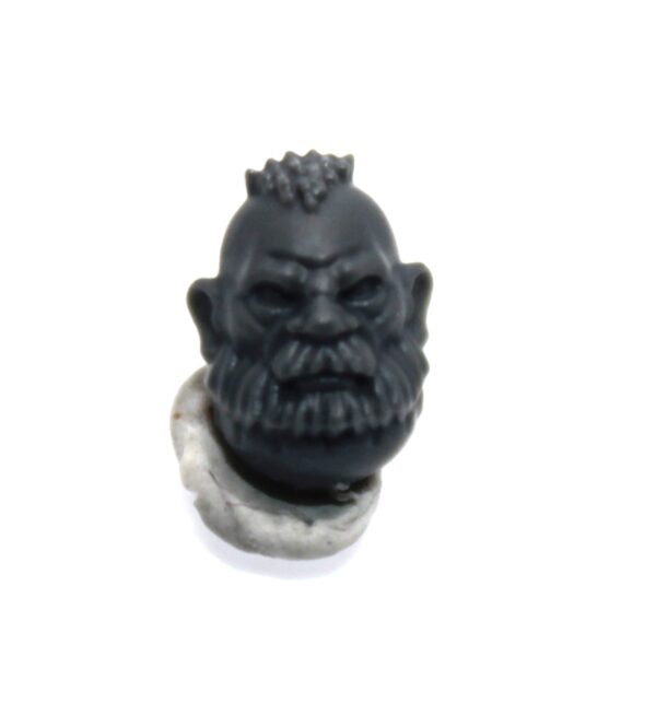 Einhyr Hearthguard Head D