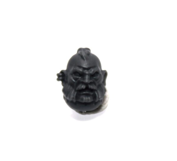 Einhyr Hearthguard Head E