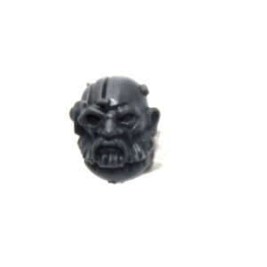 Einhyr Hearthguard Head F