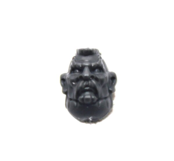 Einhyr Hearthguard Head G